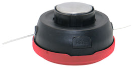 94181_TESTINA-BATTI-E-VAIATTACCO-UNIVER-C-CUSCIN-extra-big-84417-394.jpeg (7931016)